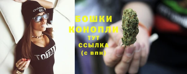 Альфа ПВП Краснослободск