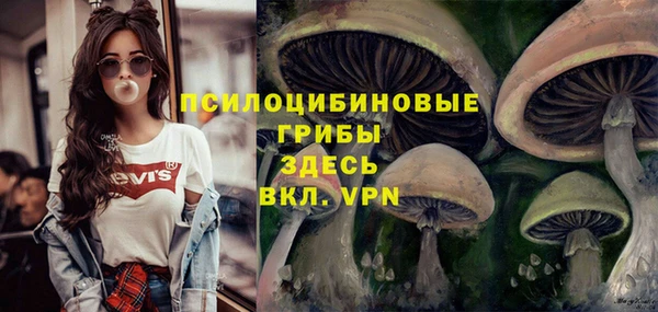 Альфа ПВП Краснослободск