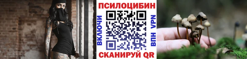 Псилоцибиновые грибы MAGIC MUSHROOMS  Купить  Кондрово 